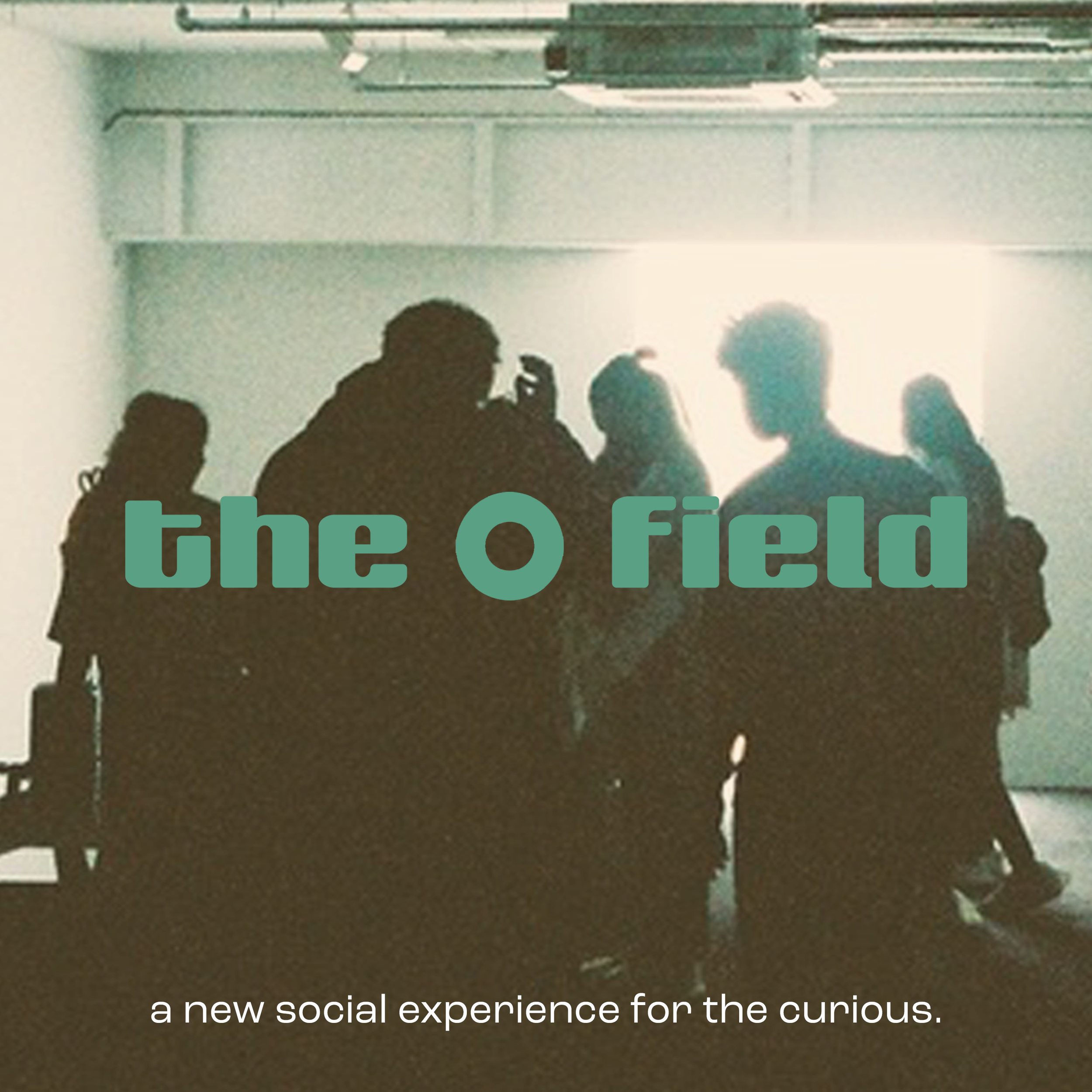 Silhouettes of people in a dimly lit room with a bright light in the background, overlaid with the text "the O field" and a tagline "a new social experience for the curious."